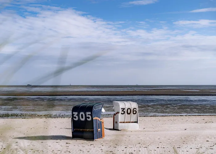 Deichperle 49 1 N Daire Schillig